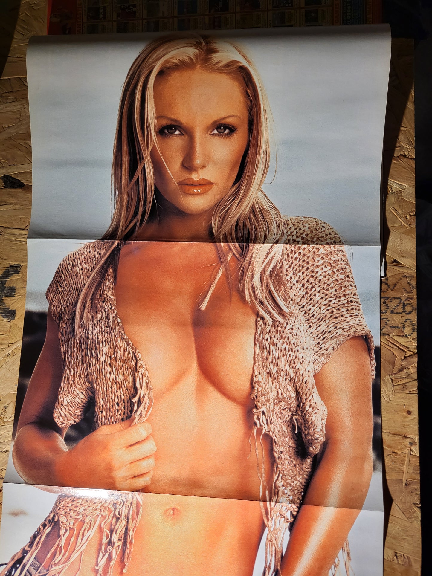 FHM Magazine January 2005 (924) Alyssa Milano Carmen Electra Michelle Wild Abi