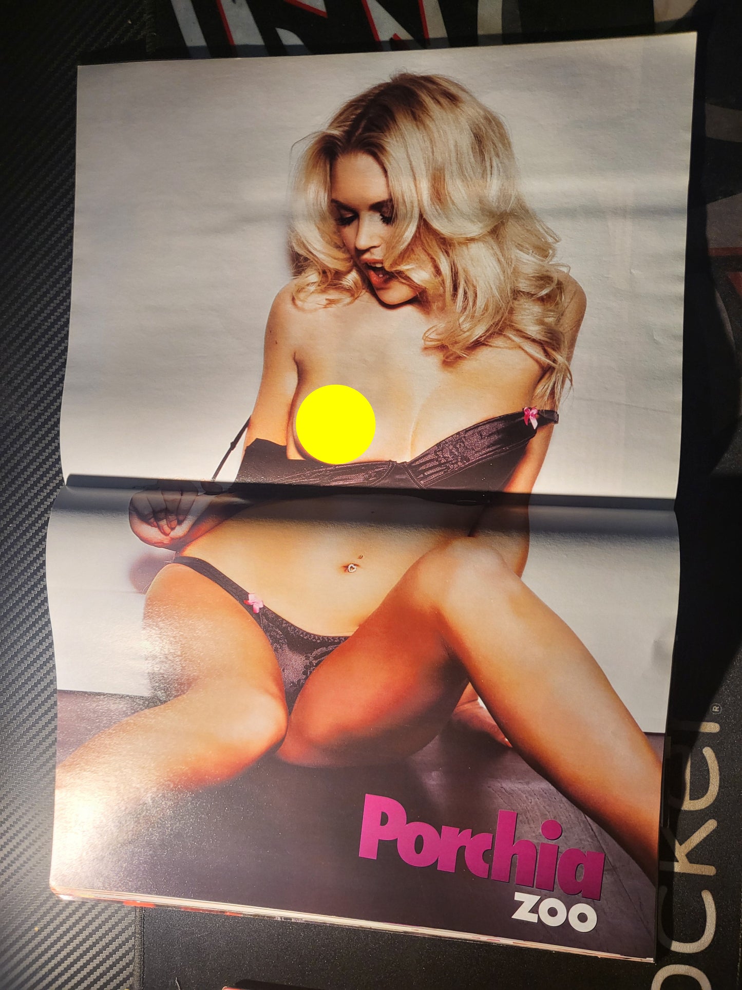 ZOO Magazine 4-10 June 2010 (976) Porchia POSTER Roxanne Pallett