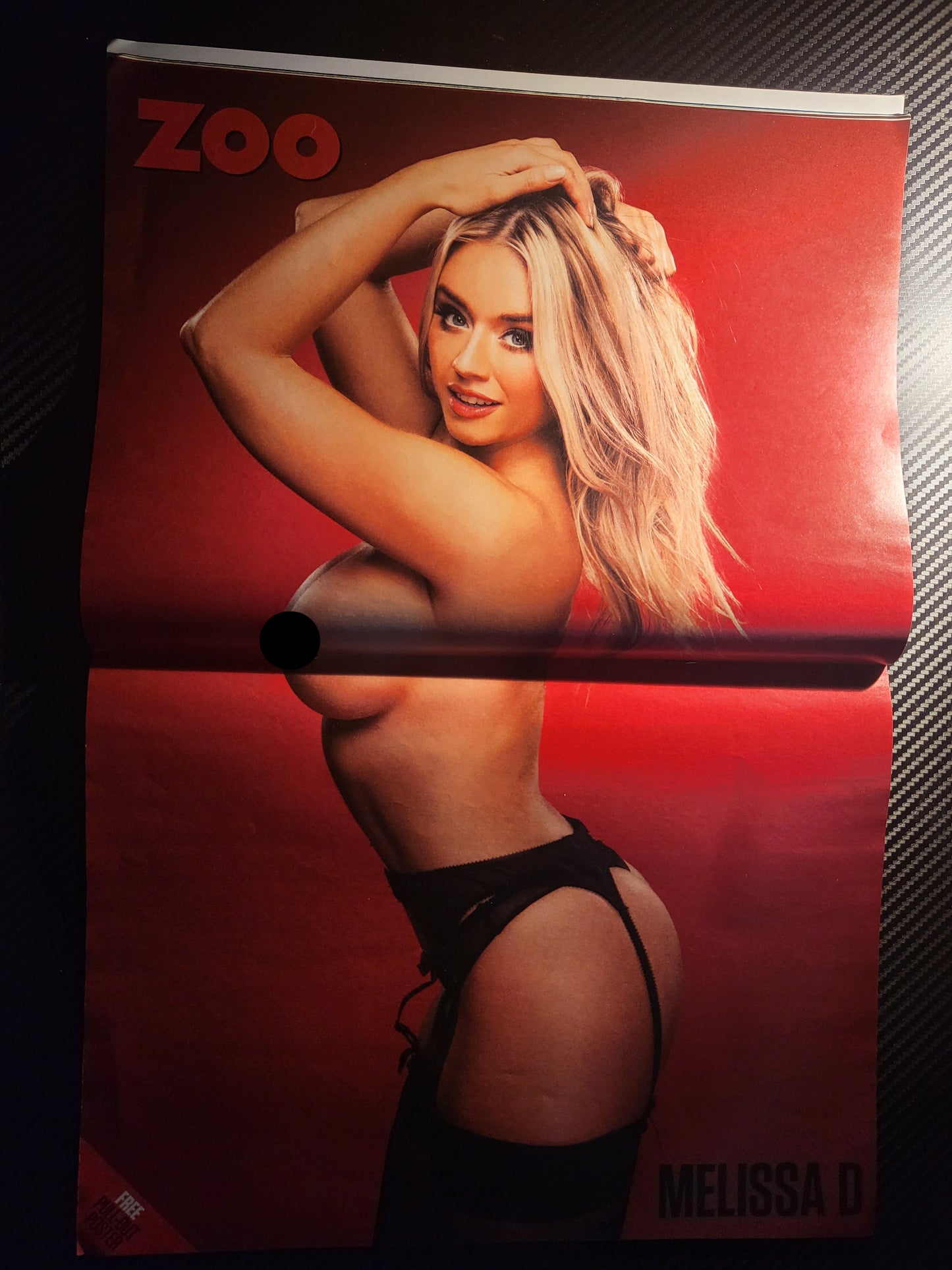 Zoo Magazine 6-12 November 2015 (993) Melissa Debling POSTER Marnie Simpson