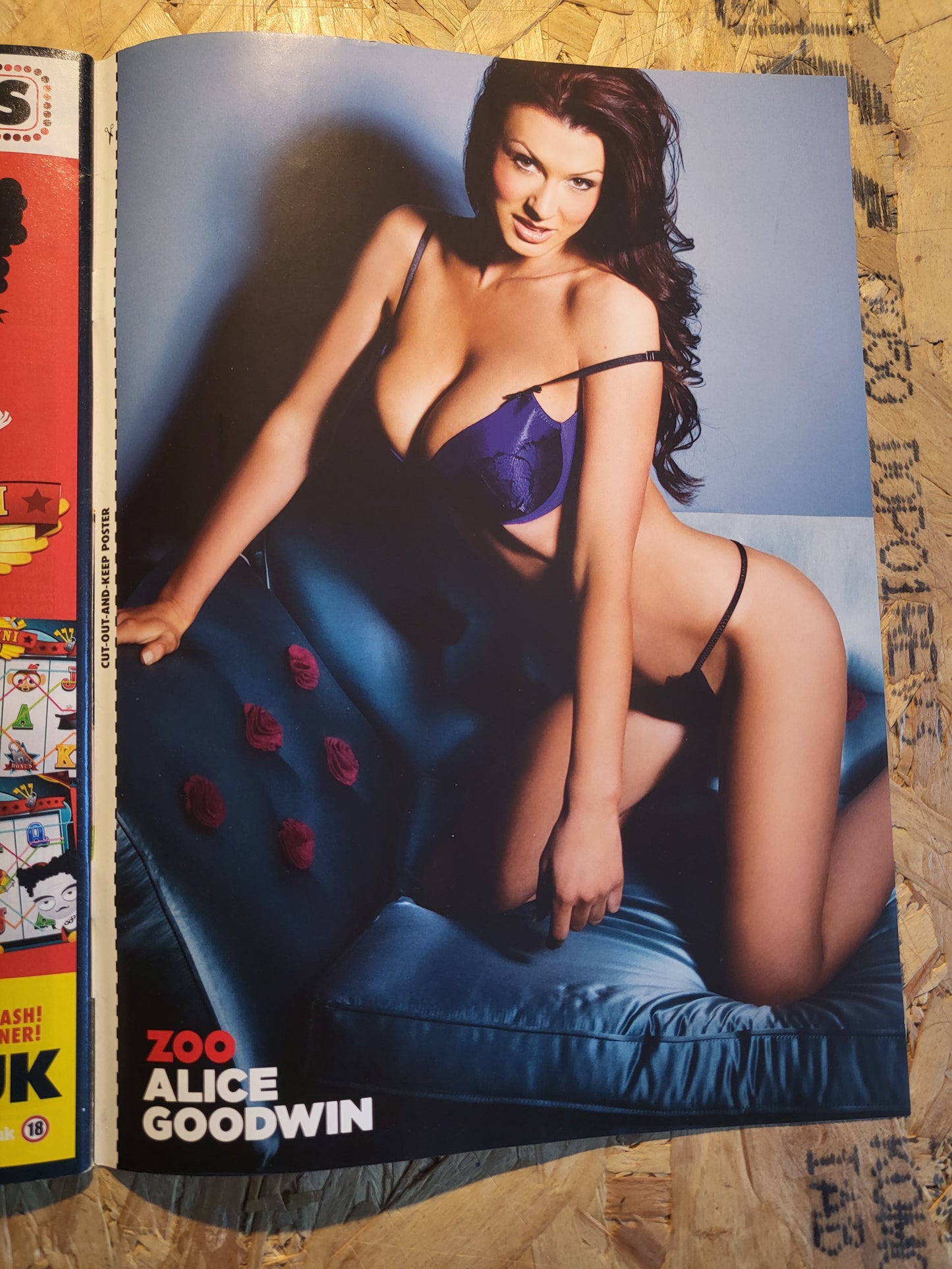 Zoo Magazine 25 February 3 March 2011 (1010) Alice Goodwin POSTER