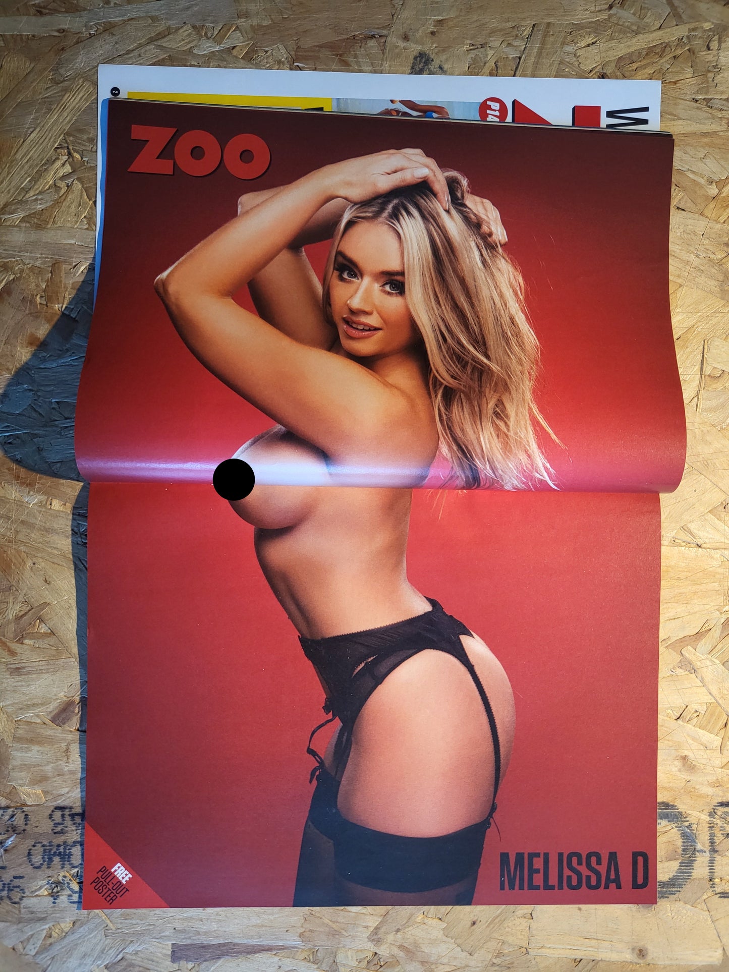 Zoo Magazine 6-12 November 2015 (RARE)(1010) POSTER Melissa D Marnie Simpson