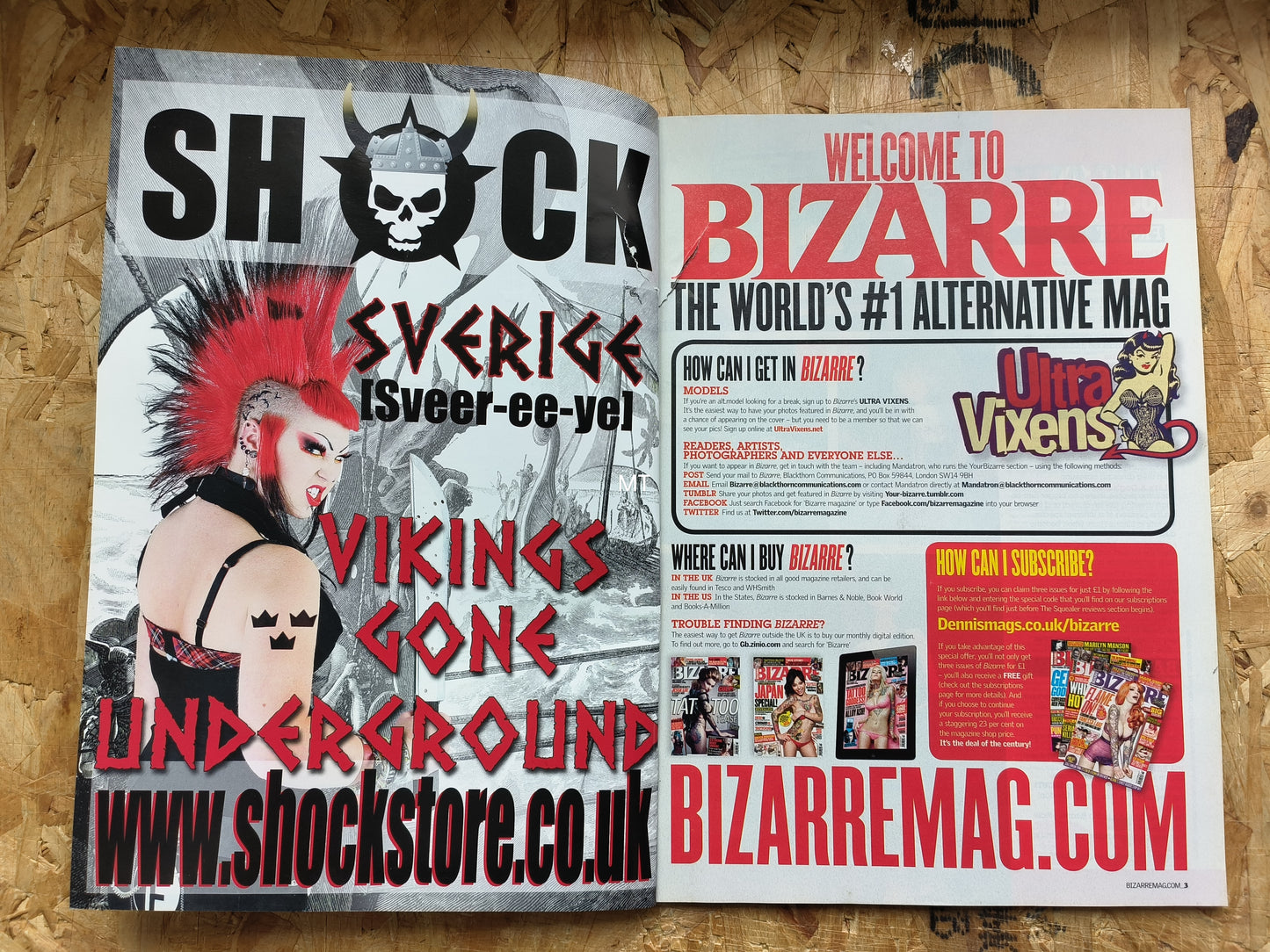 BIZARRE Magazine February 2013 (1050) Elegy Ellem Miss Mirana POSTER