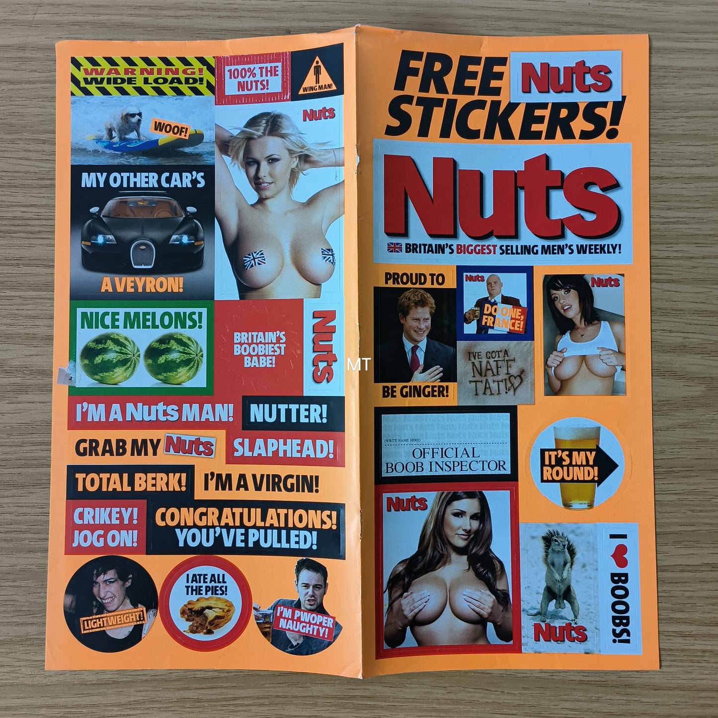 NUTS Magazine STICKERS Lucy Pinder RARE (1078)
