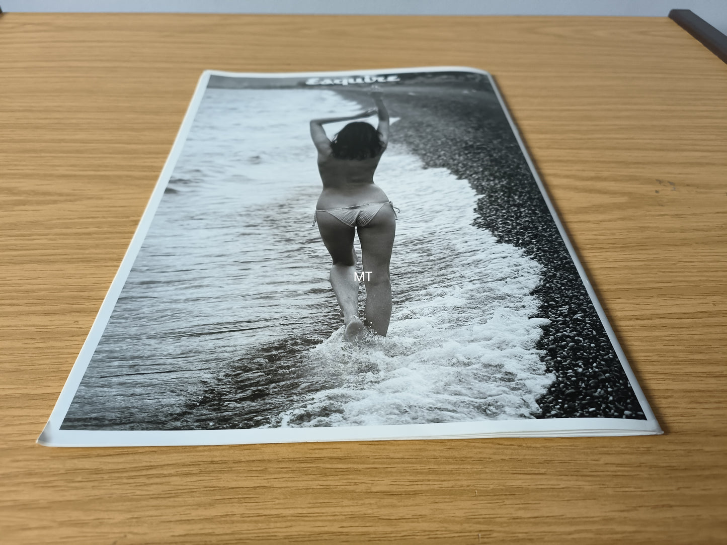 ESQUIRE Magazine The Bikini RARE (1088) Lisa Snowdon