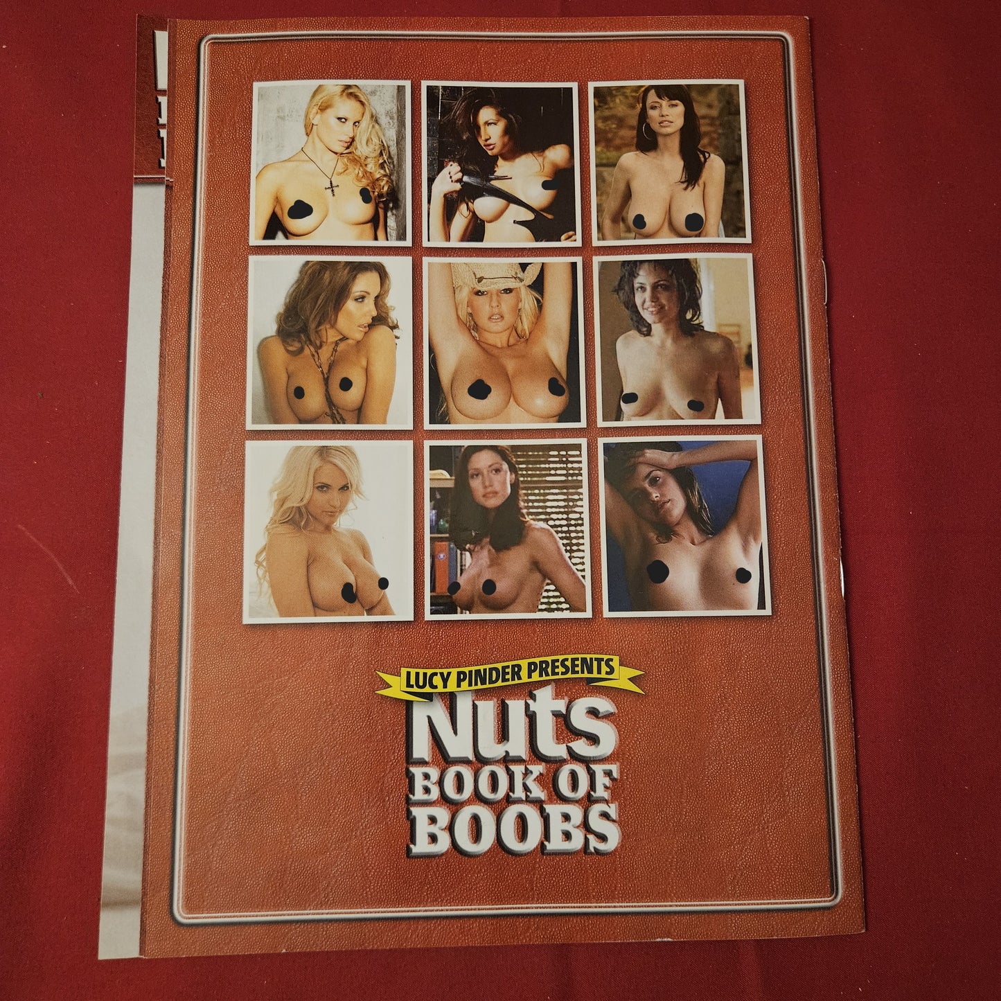 Nuts Magazine Supplement (1256) Lucy Pinder Chantelle Houghton Leilani Becker