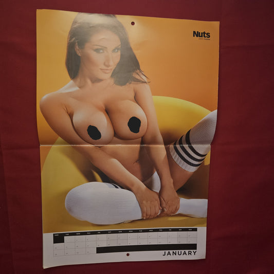 Nuts Magazine Calendar 2013 (1256) Lucy Pinder Rosie Jones Billie Faiers