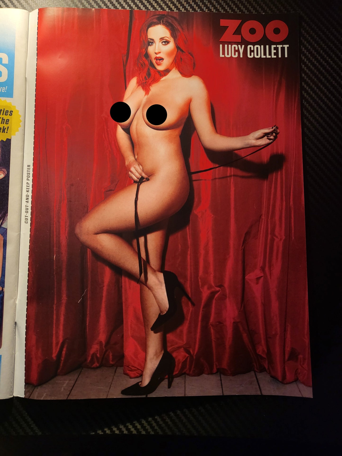 ZOO Magazine 6 12 February 2015 (987)(Rare) POSTER Lucy Collett Lucy Meck