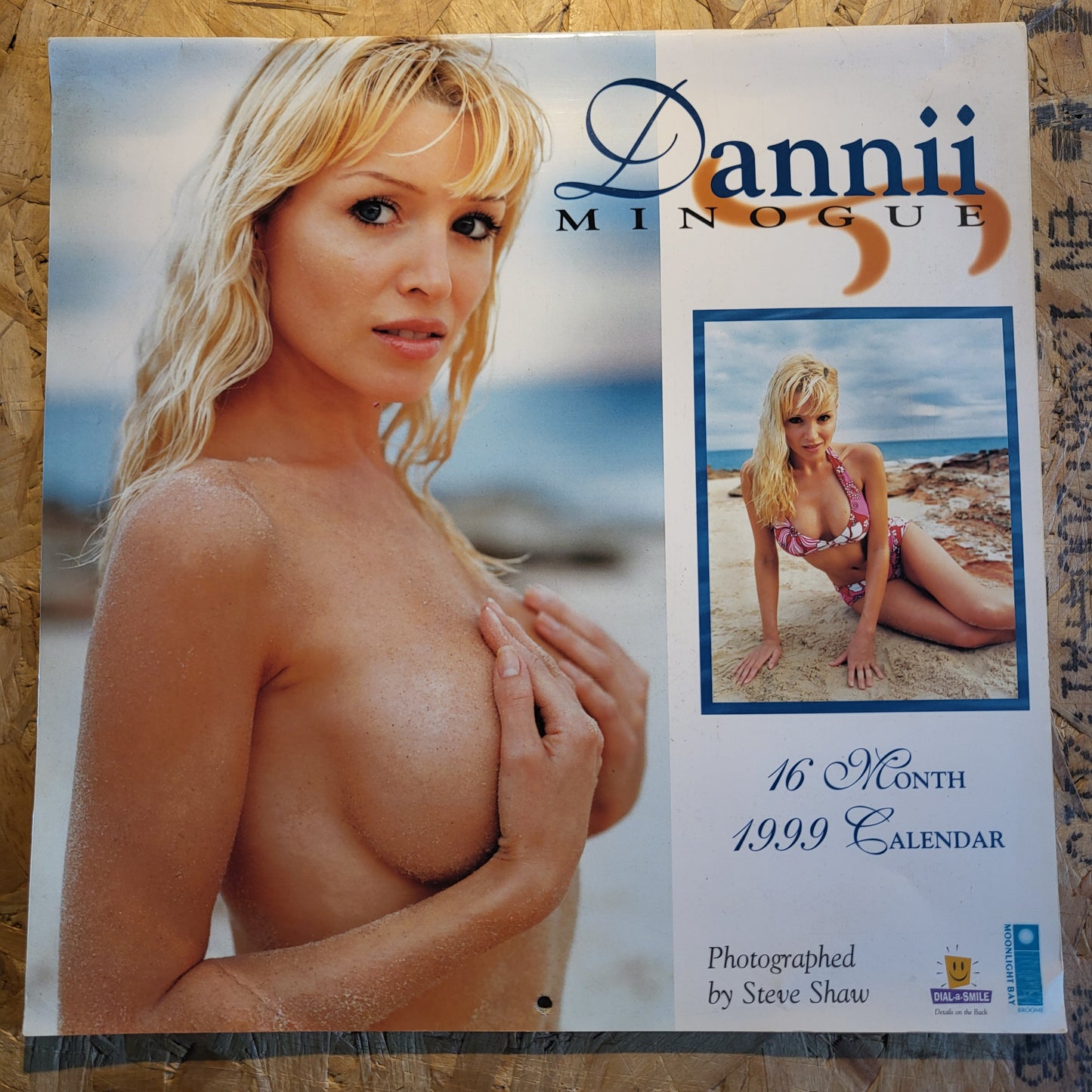 Dannii Mingogue Calendar 1999 EXTREMELY RARE (BB005)