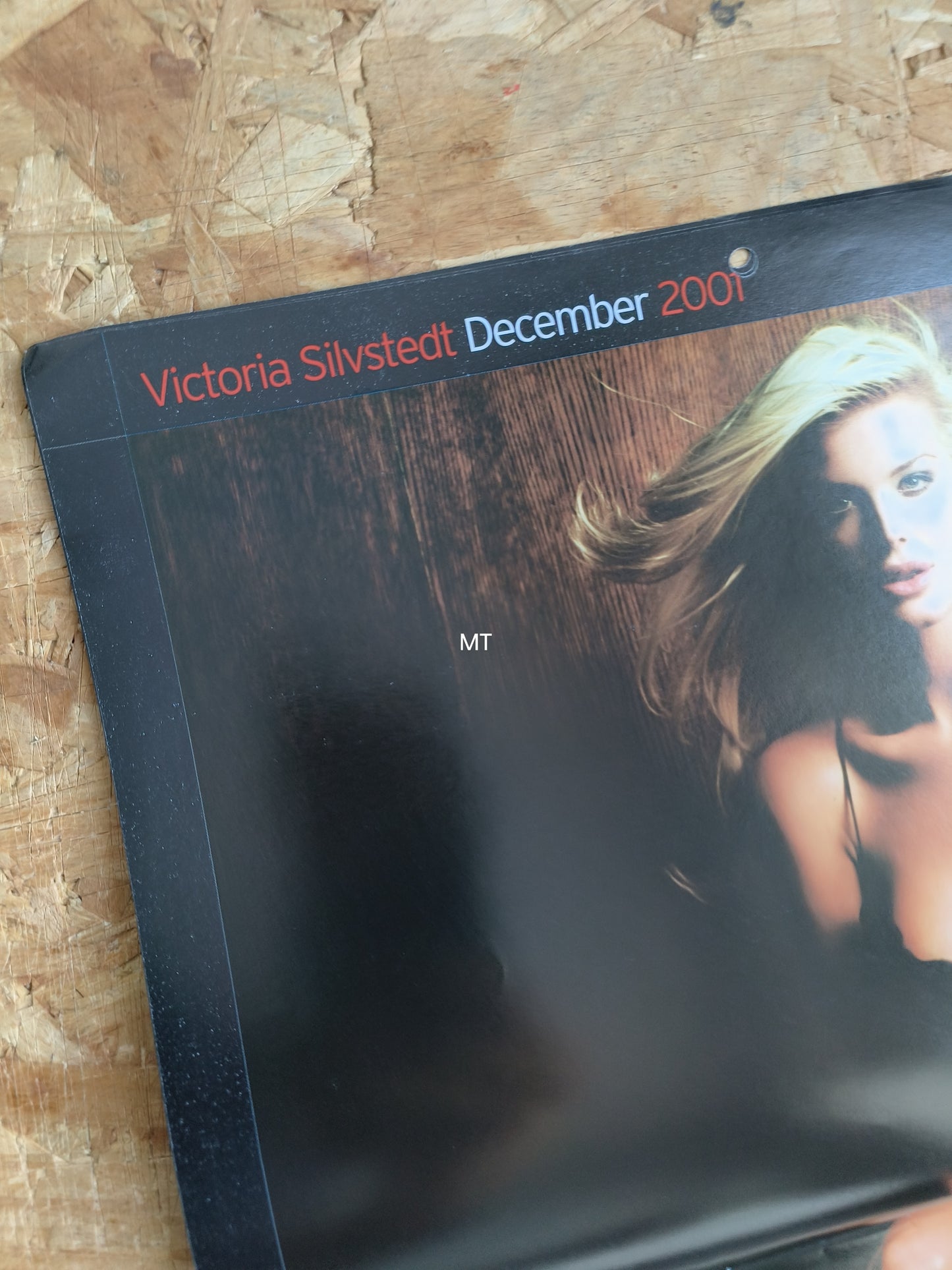 MAXIM Magazine Calendar October 2001 December 2002 (1060) Jakki Degg Victoria Silvstedt Summer Altice
