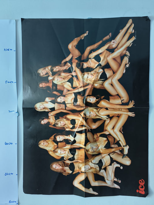 ICE Magazine POSTER LARGE RARE (1073)