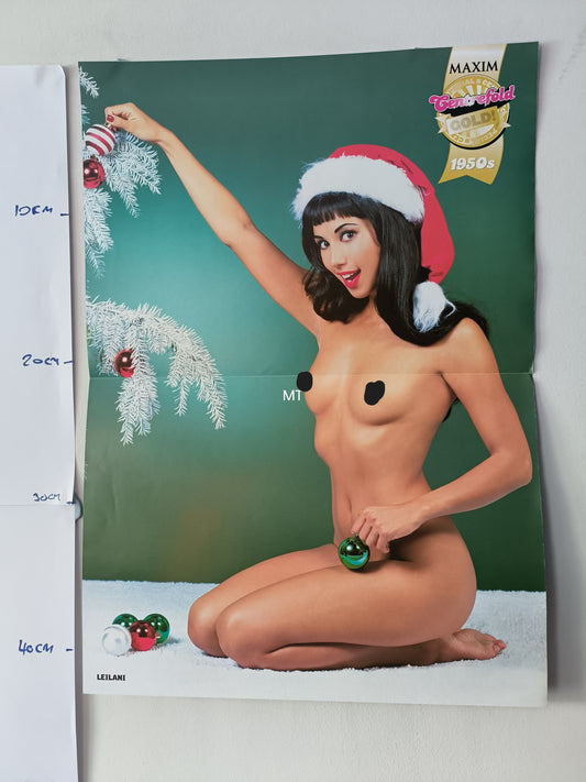 MAXIM Magazine POSTER Leilani Dowding LARGE (1078)