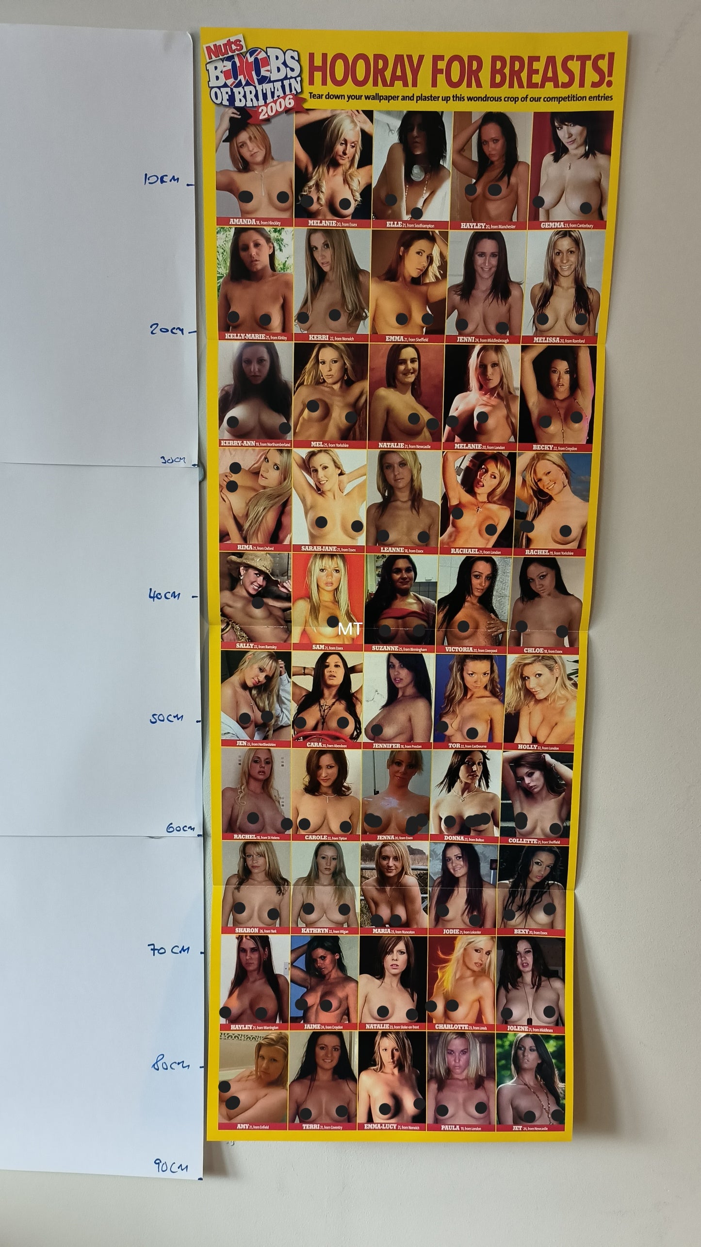 NUTS Magazine POSTER Sophie Howard (BB004)