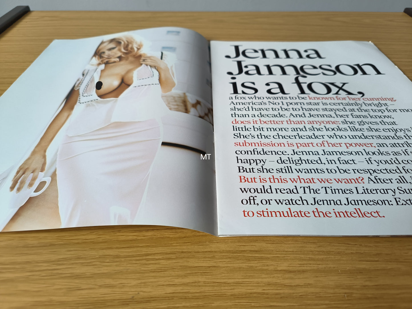 ESQUIRE Magazine ICONS Jenna Jameson RARE (1088)