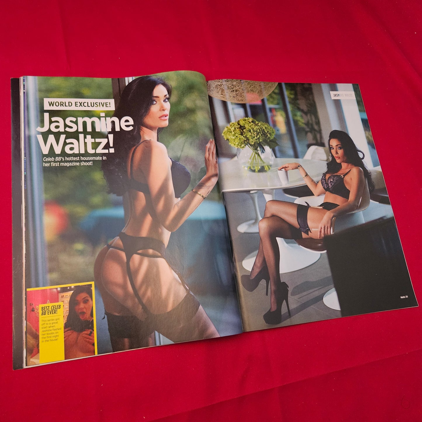Nuts Magazine 31 January 2014 (1230) Holly Coleman POSTER Jasmine Waltz