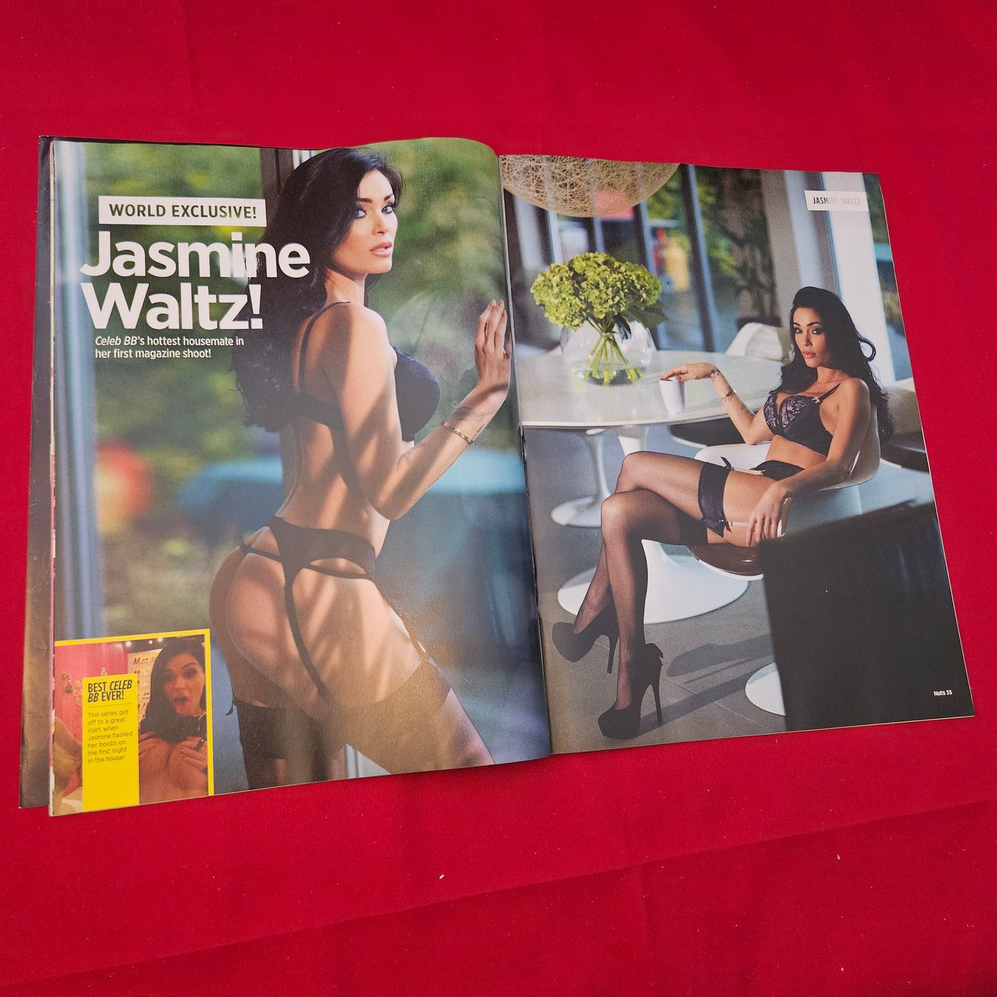 Nuts Magazine 31 January-6 February 2014 (1251) Jasmine Waltz Lucy Meck