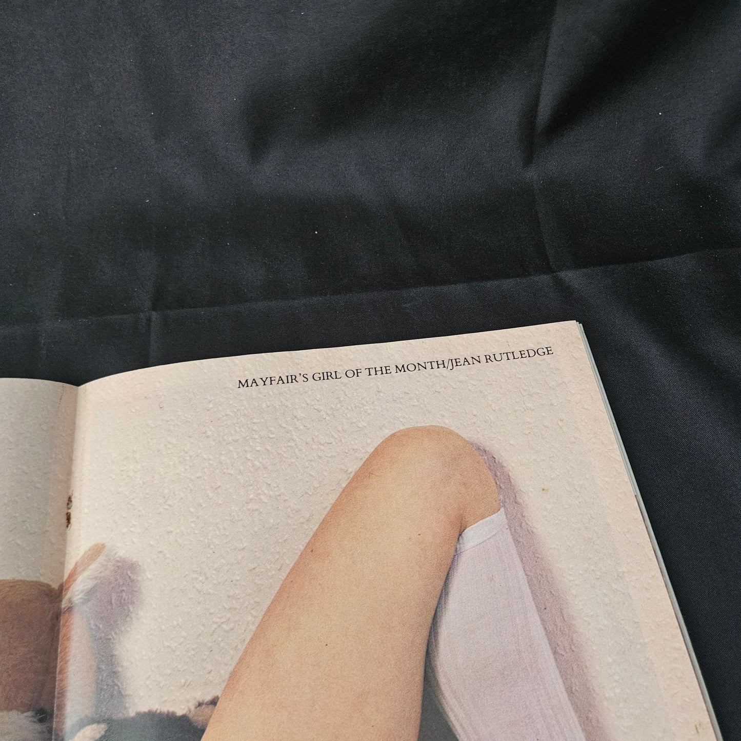 Mayfair Magazine Volume 19 Number 5 1984 (1387) Jean Rutledge Lindy Benson Jasmin Patricia Ruth Barbara Glamour Models