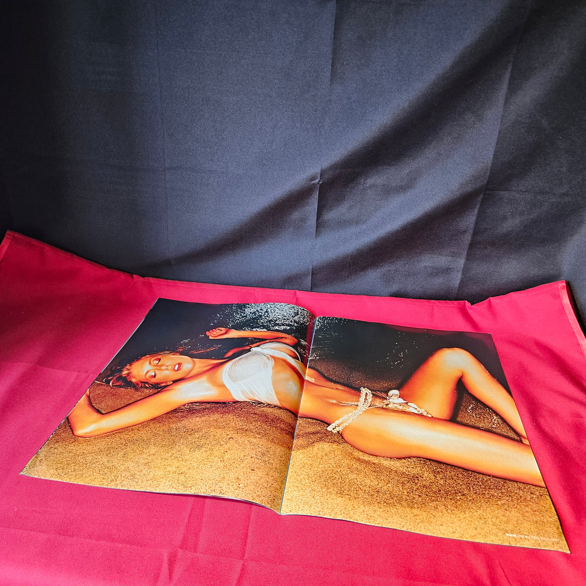 Maxim Magazine High Life Handbook Brande Roderick Summer Altice Angelica Bridges SKU: BB007