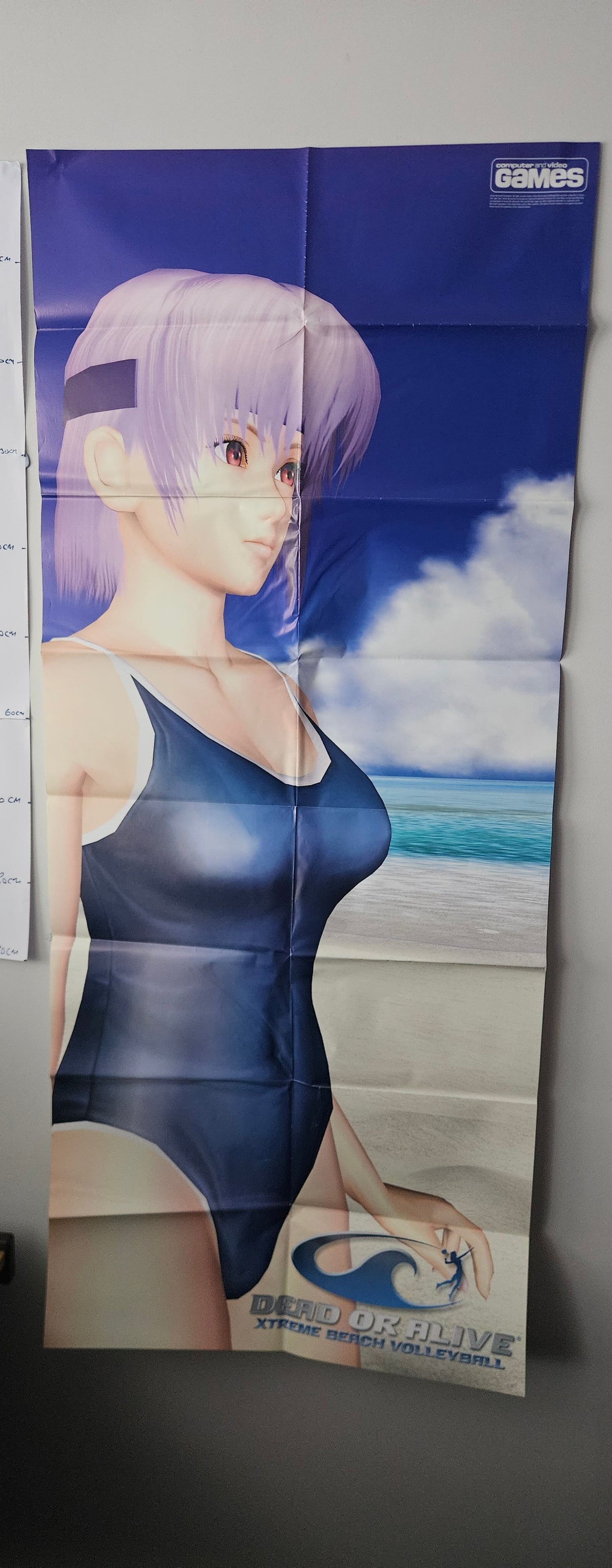 Dead or Alive Xtreme Beach Volleyball Ayane Video Game Poster CVG 0012